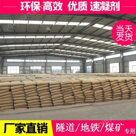 水泥添加剂 加快硅酸盐水泥凝固时间 杭州速凝剂工厂 原料优级品