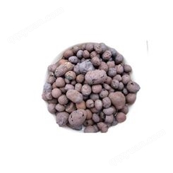 桂林花卉陶粒是营养丰富的小胖子！