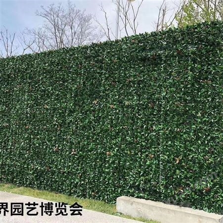 生态植物墙施工方案