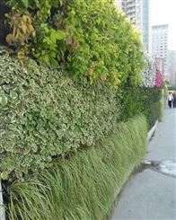 立体生态植物墙做法