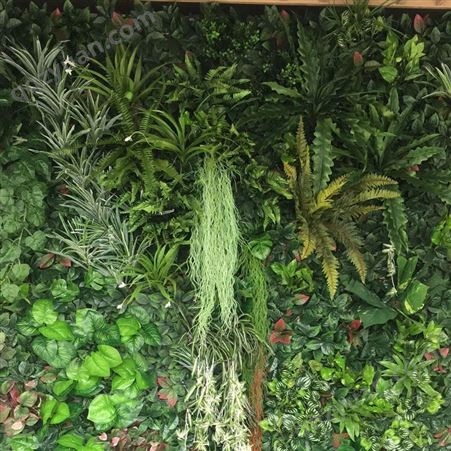 生态植物墙施工方案