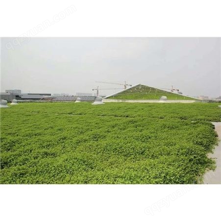 边坡绿化 北京社区树围绿化工程