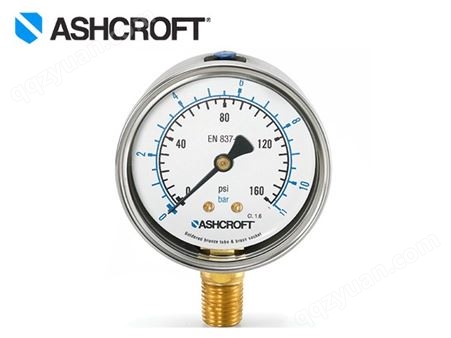 雅斯科Ashcroft  8008A压力表
