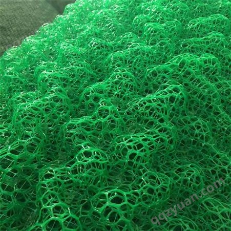 山东厂价供应三维植被网 绿化三维植被网垫 植草塑料三维植被网