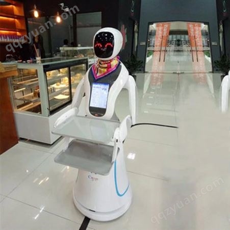 酒店迎宾送餐机器人 上门安装 饭店餐厅用 讲解机器人服务员