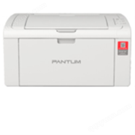 奔图/PANTUM P2510 激光打印机