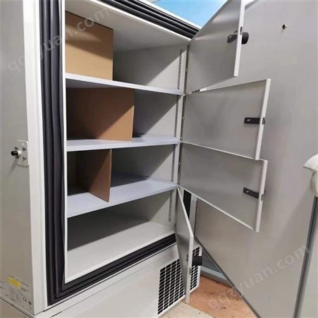 二手赛默飞Forma 900系列超低温冰箱，906，-86℃单门立式超低温冰箱