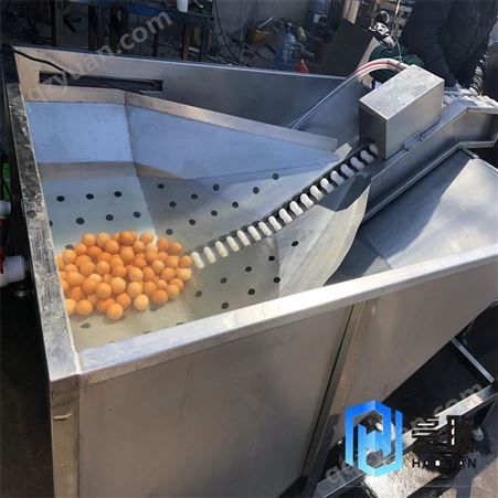 鸡蛋清洗机 全自动洗蛋机制造商 豪联支持加工定做