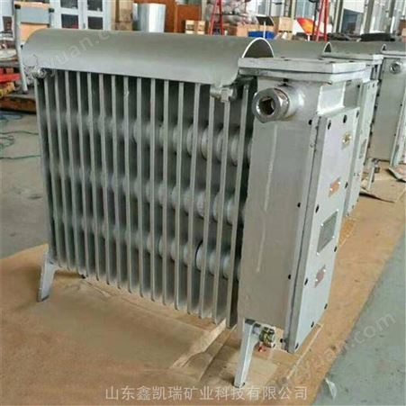 RB-2000/127(A）RB-2000/127（A）煤矿取暖器，电热取暖器厂家
