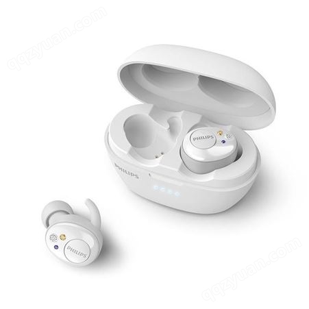 飞利浦（PHILIPS） SHB2505 真无线蓝牙耳机5.0 入耳式运动音乐耳塞 苹果安卓手机通用
