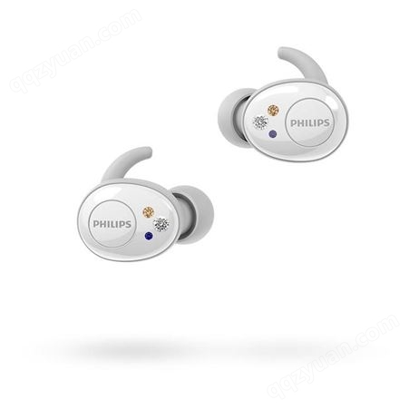 飞利浦（PHILIPS） SHB2505 真无线蓝牙耳机5.0 入耳式运动音乐耳塞 苹果安卓手机通用