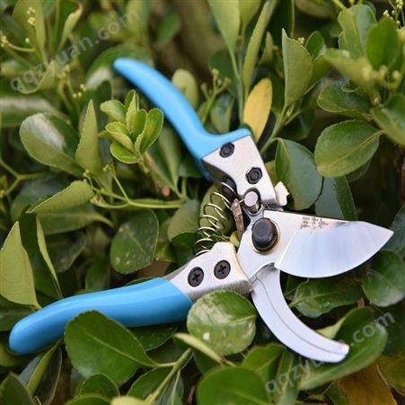 园艺专用剪刀生产品质保障园艺专用剪刀生产厂家