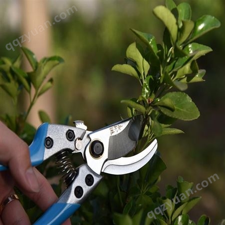 园艺专用剪刀生产品质保障园艺专用剪刀生产厂家