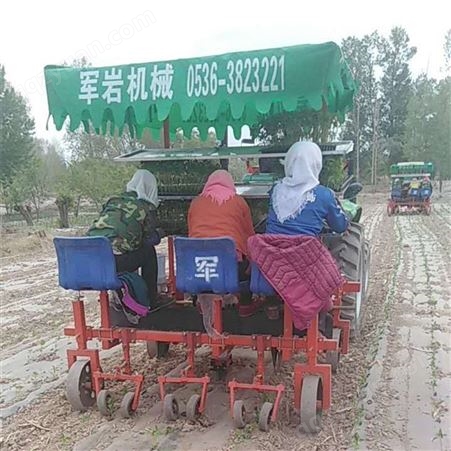 蔬菜移栽机 军岩订购定做 红薯栽植机 工作效率高