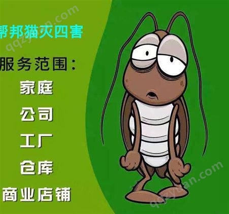 广州官洲除蚊子灭白蚁 杀蟑螂 消灭老鼠上门价格多少