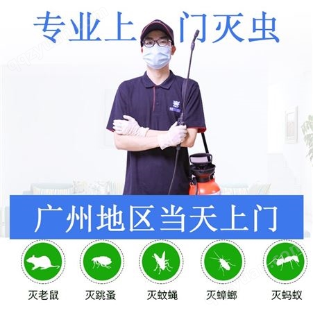 广州永泰学校除蚊子灭白蚁 杀蟑螂 消灭老鼠上门价格