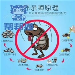 广州珠村除苍蝇防治白蚁 杀蟑螂 灭老鼠上门价格多少