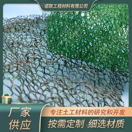 护坡三维植被网 植草绿化植被网 量大优惠 诺联工程材料