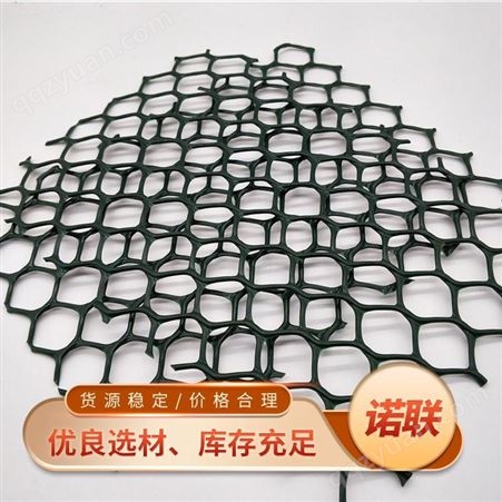 山东诺联土工网生产厂家 HDPE护坡用土工网垫