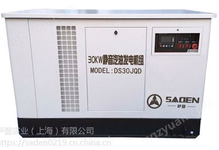 萨登DS10JQD汽油发电机移动电源车全国包邮
