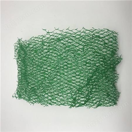三维植被网 护坡固土三维网垫 EM3