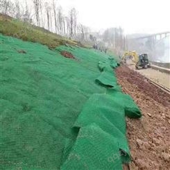 现货批发出售三维植被网护坡草用网垫防止水土流失植被网诺联