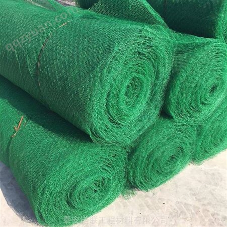 宿州三维植草网每平方单价 山体绿化防护三维被网诺联生产供应