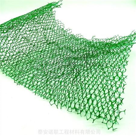 高速边坡绿化防护三维植被网供货商 诺联生产供应三维植被网厂家