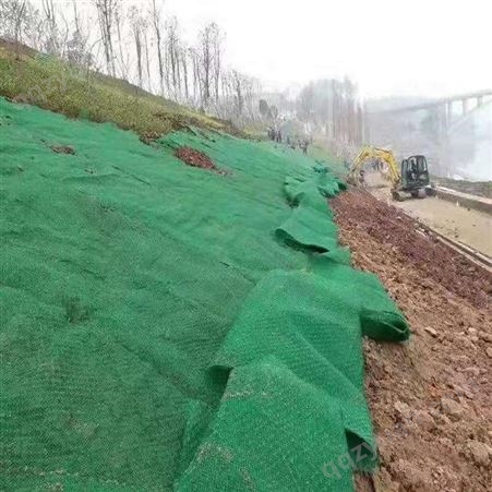 厂家供应 塑料三维土工网垫 河道护坡园林绿化用三维植被网垫诺联
