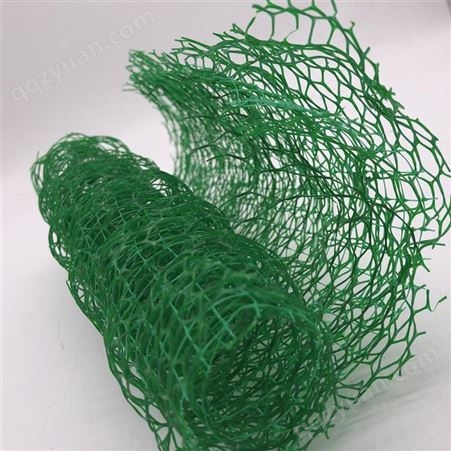 厂家供应 塑料三维土工网垫 河道护坡园林绿化用三维植被网垫诺联