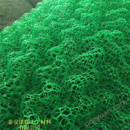 诺联三维植被网 绿化植草网土工网护坡网垫 园林公路护坡种草三维网