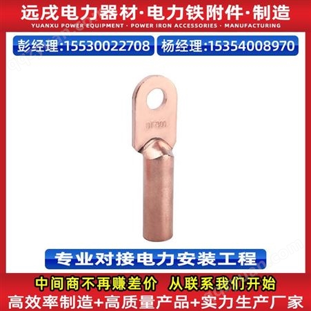电缆铜铝头 DTL-300平方耳线 铜铝过渡鼻子 DTL接线端子